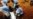 Dangers High for Health Workers on Ebola Front Lines