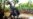 Giant, Flightless Bird Once Roamed Arctic