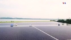 Սինգապուրը բացել է աշխարհի ամենամեծ լողացող արևային էներգիայի ֆերմաներից մեկը