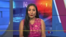 နေ့စဉ် တီဗွီသတင်းလွှာ (၁၂-၁၃-၂၀၂၁)