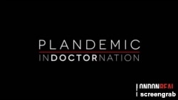 The title screen for Plandemic Indoctornation
