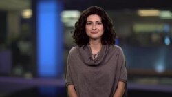 Брифинг 19 ноября