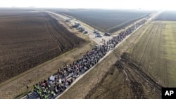 Students march trough the fields in northern Serbia as they protest over the collapse of a concrete canopy that killed 15 people more than two months ago, in Indjija, Serbia, Jan. 31, 2025. 