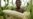WFP: 2.2 Million Zimbabweans May Need Food Aid Before Next Harvest