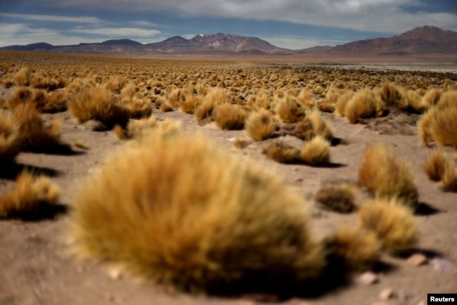 FILE - Tara salt flat at Los Flamencos National Reserve, in Antofagasta region, Chile, May 5, 2023. (REUTERS/Ivan Alvarado)