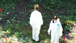 2014-10-29 美國之音視頻新聞: 墨西哥繼續尋找失蹤學生