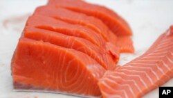 Los pescadores piden se establezca una moratoria de seis años para la pesca con cerco de la flota atunera extranjera en sus aguas. 