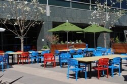 Seorang "Googler" makan sendirian di bawah sinar matahari saat makan siang pada 12 Maret 2020 di kampus utama perusahaan internet di kota Mountain View di Silicon Valley, California. (Foto: AFP)