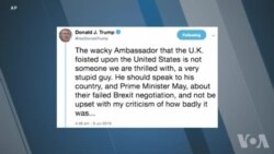 Etazini-Angletè: Anbasadè Britanik la nan Washington Kim Darroch Bay Demisyon l