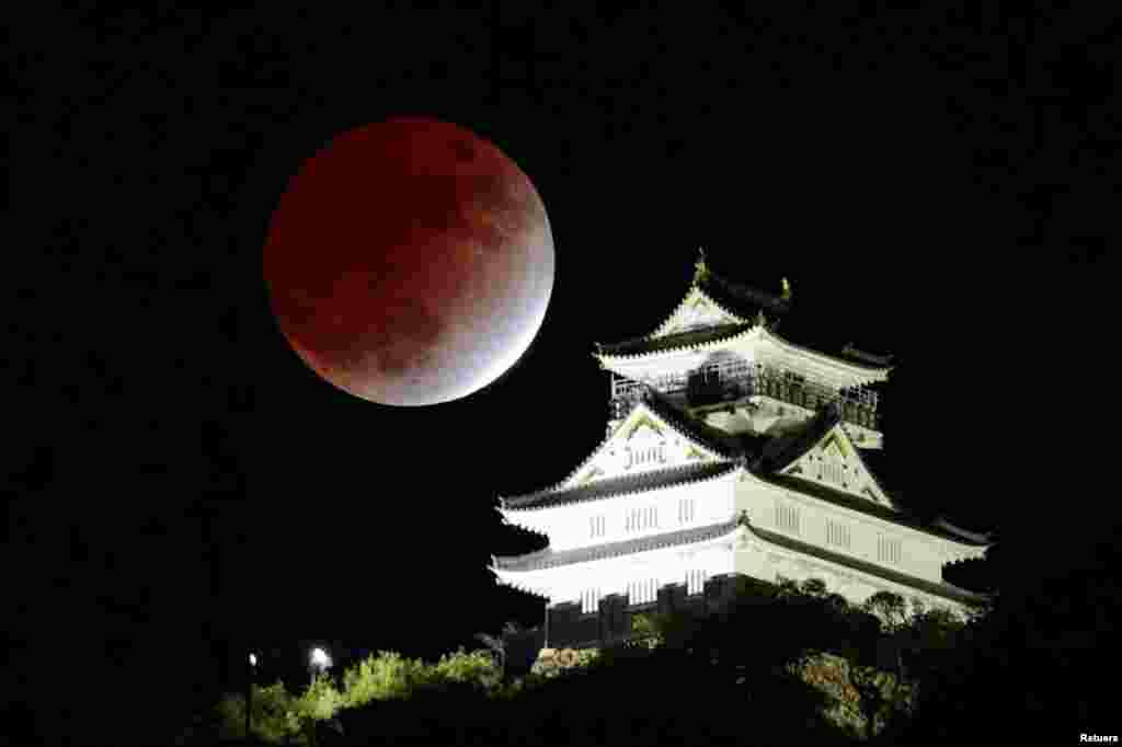 Gerhana bulan parsial yang berlangsung selama hampir 3,5 jam (yang terlama dalam sekitar 600 tahun terakhir) terlihat di atas kuil Gifu di kota Gifu, Jepang hari Jumat (19/11). (Foto: Kyodo via Reuters)