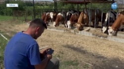 Edirne’deki Afgan Gencin Mutluluğu