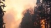 At Least 40 Dead in Israeli Wildfire