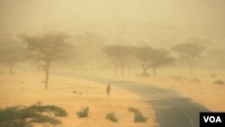 Afrik: Rate Manje nan Rejyon Sahèl la