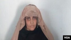  تيرماښام چې کله دوفاقي داخله وزير چوهدري نثار څخه دشربت ګلې په اړه پوښتنه وشوه نو هغه وويل ددغه معاملې به بيا دسره جاج اخلي.