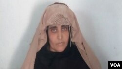  دپېښور حيات اباد سيمه کې دجوړ ځانګړي عدالت قاضي دشورو په سحر دهغې دضمانت په خواست دغه پريکړه اورولې ده.
