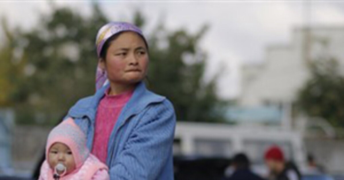 Barcha yoshdagilar uchun dahshatli bolgan mushuklarning porno fotosuratlari