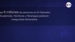 El hambre se cuadriplicó en Centroamérica en los últimos dos años