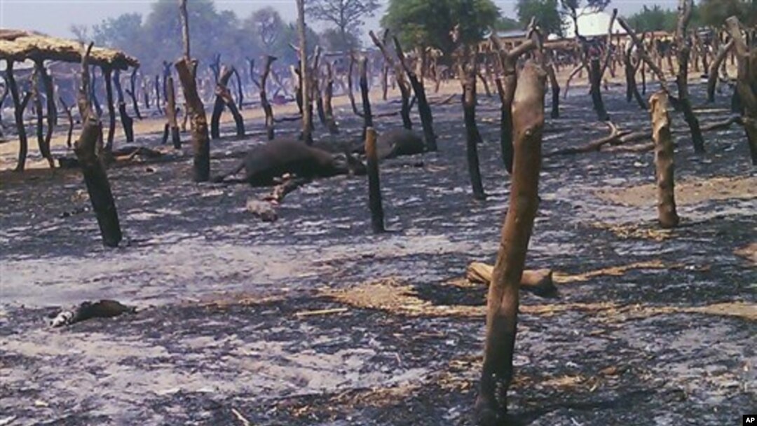 Pasar ternak di Potiskum, Nigeria habis terbakar akibat serangan hari Kamis (3/5) yang menewaskan sedikitnya 34 warga. 