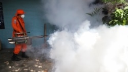 La OPS alerta sobre una temporada crítica para el dengue reportando un año récord de contagios