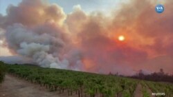 Napa Vadisi Alevlere Teslim