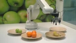 သစ်သီးတွေကို ရွေးချယ်ကောက်ပေးတဲ့စက်ရုပ်