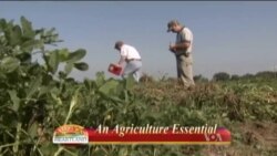 Buenos Días América