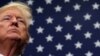 Ekspertët kushtetues: Presidenti Trump nuk gëzon kompentenca pa kufi