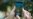 Pokemon GO Players Robbed at Gunpoint in London Park