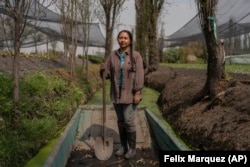 Cassandra Garduno poses for a portrait at her floating garden in the Xochimilco borough of Mexico City, on Tuesday, Oct. 29, 2024. (AP Photo/Felix Marquez)