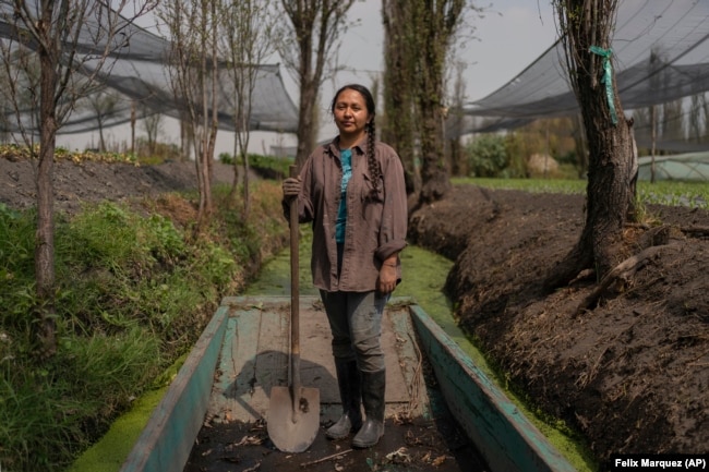 Cassandra Garduno poses for a portrait at her floating garden in the Xochimilco borough of Mexico City, on Tuesday, Oct. 29, 2024. (AP Photo/Felix Marquez)