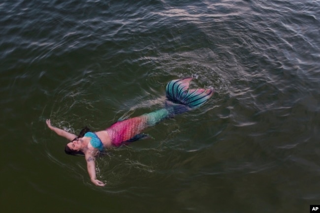 Lauren Metzler, founder of Sydney Mermaids, swims at Manly Cove Beach in Sydney, Australia, Thursday, May 26, 2022. (AP Photo/Mark Baker)