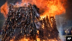 A pile of 5,250 illegal weapons are burned by Kenyan police in Ngong, near Nairobi, in Kenya, Nov. 15, 2016.