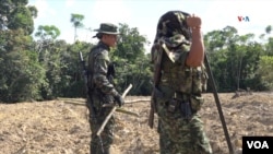 Integrantes de las disidencias de las FARC en la región del Catatumbo, el 10 de diciembre de 2024. [Foto: Johan Reyes, VOA].