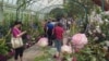 Visitors to the New York Botanical Garden walk through “Monet’s Garden,” May 26, 2012.