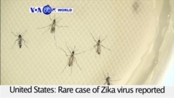 VOA60 World - Rare case of Zika virus reported in the U.S.