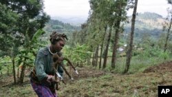 Agricultora na Tanzânia (Foto de Arquivo)