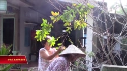 Chùa Phi Lai và Tam Bửu - từng tấc đất thấm máu người dân vô tội