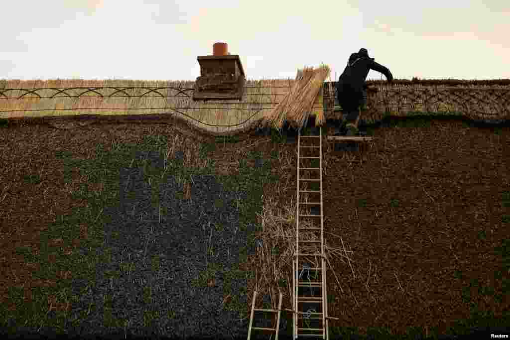 Thatcher Micheal Fahy repairs the comb of the roof on a 200-year-old cottage in Galway, Ireland. Feb. 10, 2021.