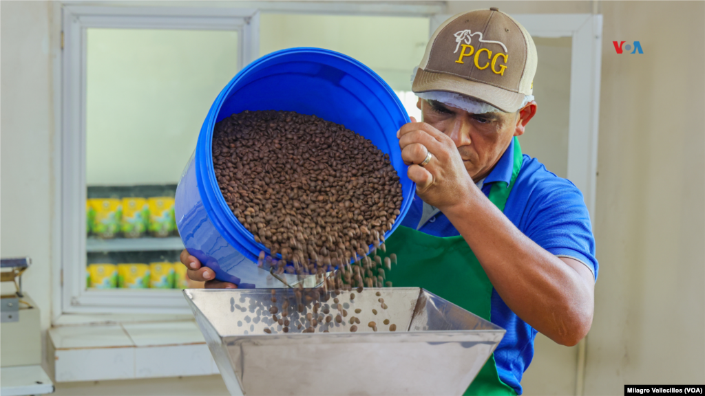 La Asociación de Caficultores de las subcuencas de los ríos Cirí Grande y Trinidad del Canal de Panamá, ha logrado construir su propia planta de procesamiento, selección, tueste, molido y empaque de café. 