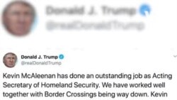 McAleenan