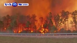 Mỹ: Cháy rừng hoành hành nhiều nơi (VOA60)