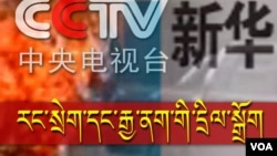 Người dân đi lại giữa đống đổ của chiếc máy bay chở hành khách rơi gần làng Grabovo ở Ukraine