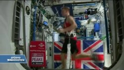 Uzaya Gönderilen Süper Farelerle Kas Kaybına Çözüm Aranıyor