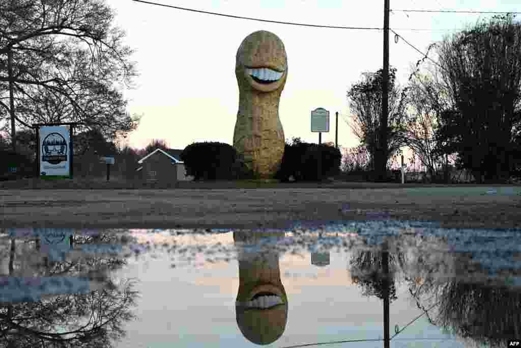 A statue of a peanut in honor of former U.S. President Jimmy Carter, who was a peanut farmer, stands in Plains, Georgia, Dec. 30, 2024. 