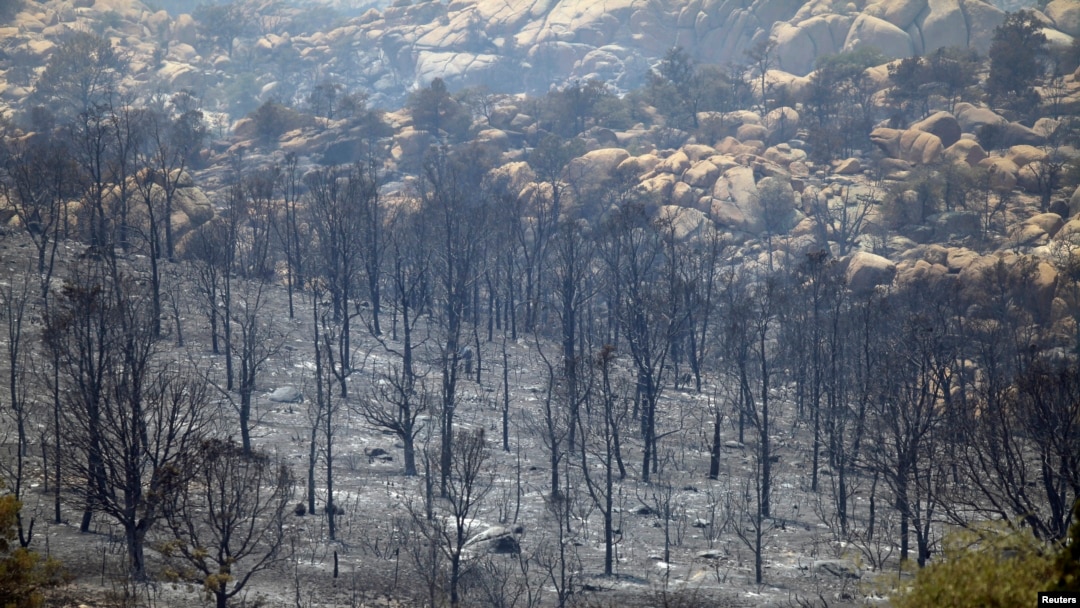 Para petugas pemadam kebakaran mulai membendung kebakaran hutan di negara bagian Arizona (foto: dok). 