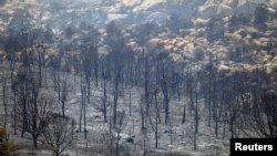 Para petugas pemadam kebakaran mulai membendung kebakaran hutan di negara bagian Arizona (foto: dok). 