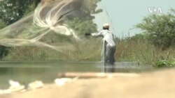 COP26 Africa Youth -- USAGM