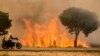 Un incendie de forêt "circonscrit" après avoir ravagé 230 hectares au Maroc