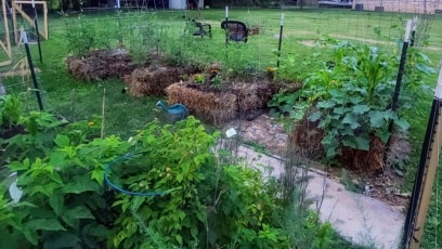 Don’t Have Soil, Try Planting in Straw Bales