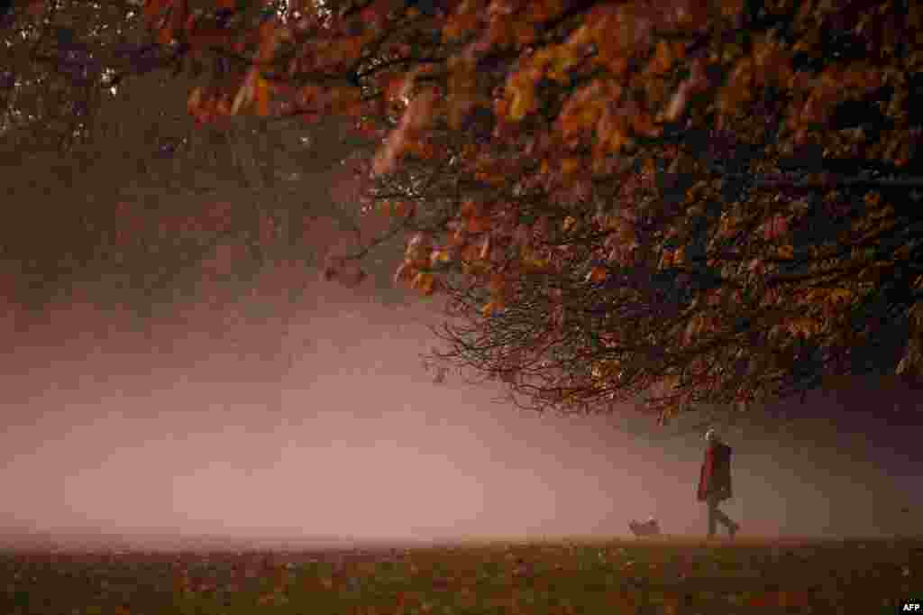 A person walks their dog in the morning mist at sunrise in Greenwich Park in south London.